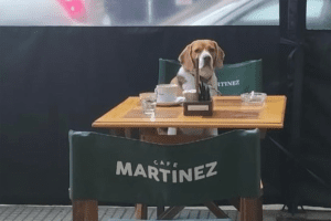 Café Martínez juramento pet friendly