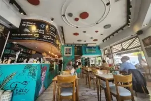 Frida Cocina Café salón