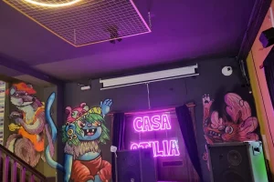 Casa Otilia Burgers salón