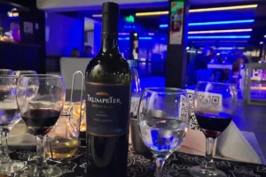Indira Olivos Vino