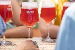 Antares - Zarate Cervesa
