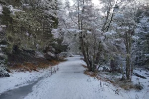 Camino De Los Presos Nieve