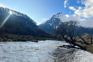 Camping Rio Olivia Montaña