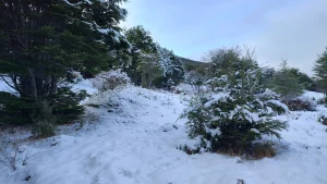 Cascada Nahiara Fachada