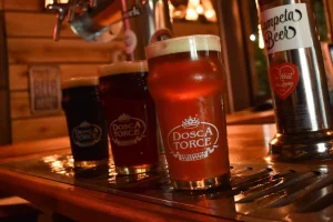 Doscatorce Cervesa