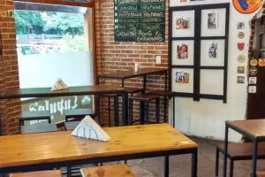 Lupulos cervecería salón