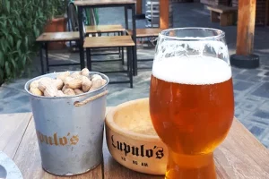 Lupulos cervecería pinta