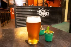Orika Cervecería pinta