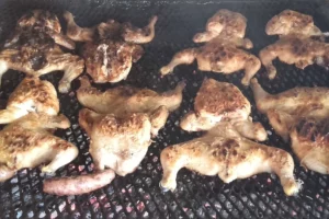 Parripollo Bigote Parrilla