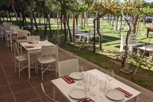 Casona Perdriel Mendoza patio