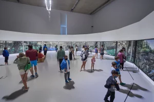 Mar - Museo Provincial de Arte Contemporaneo Museo