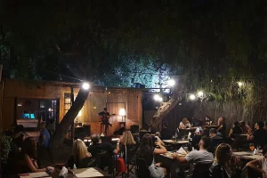 Willys Bar mendoza jardín