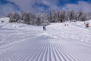 C4 Parque de Nieve Nieve