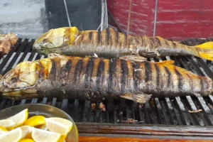 Cabana Puerto de Palos Pescado