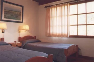 Cabañas Trabunche San Martín de los Andes Habitación