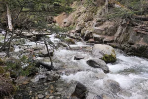 Cascada Inacayal Corriente