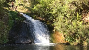 Cascada Regimiento Fachada