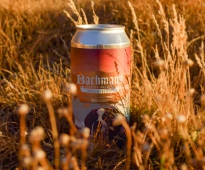 Cervecería Bachmann - Vice Alte O'Connor Fachada