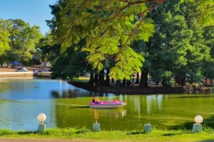 Domo Del Centenario Laguna