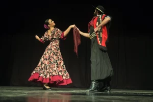Festival Nacional de la Zamba Baile