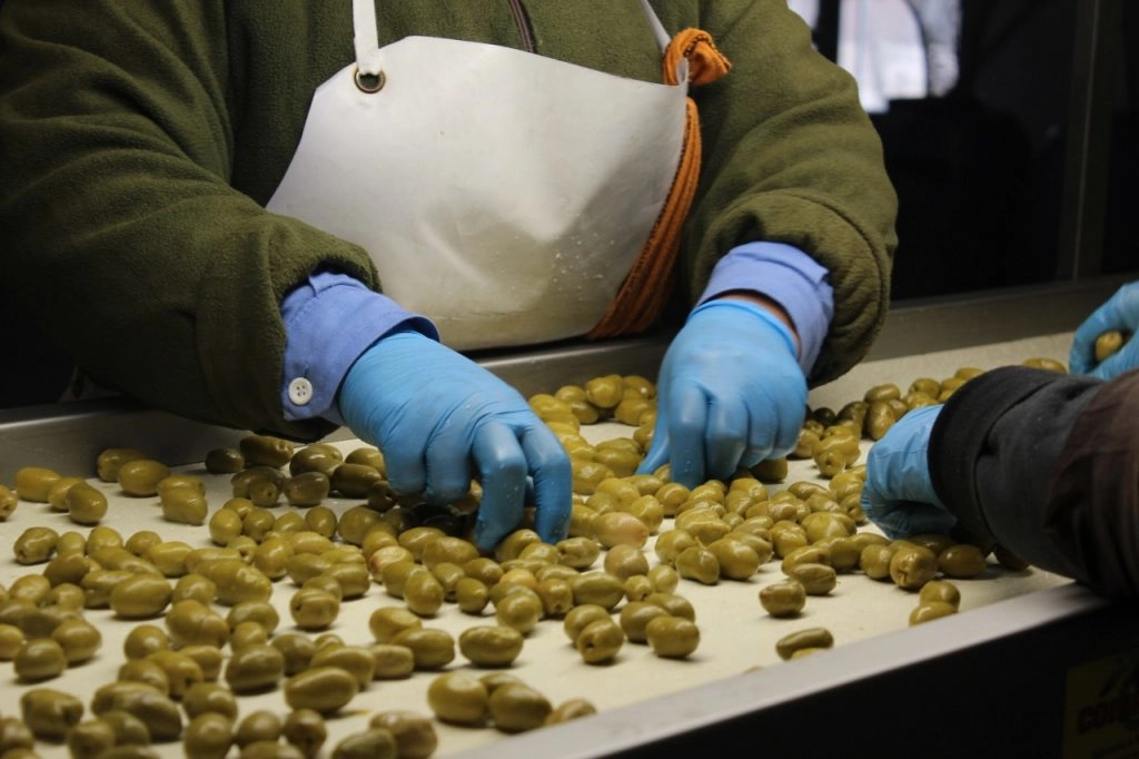 Fiesta Nacional del Olivo Fachada