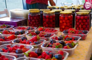 Fiesta Nacional de la Fruta Fina Fachada