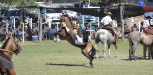 Fiesta Nacional de la Ganadería del Oeste Pampeano Fachada