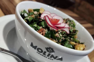 Molina Lounge Bar Ensalada