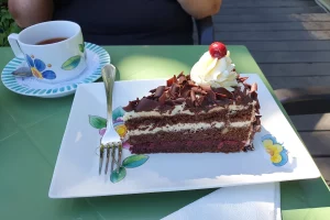 Paila Co Torta