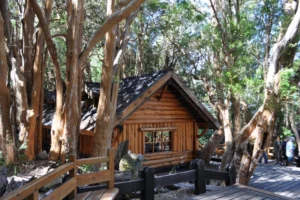 Parque Nacional los Arrayanes Cabañas