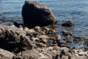 Playa Bonita Piedras