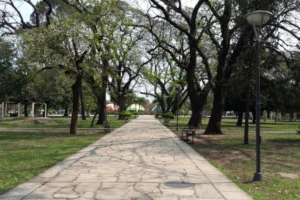 Plaza 25 de Mayo Arboleda