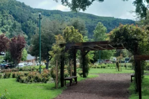 Plaza Centenario Rosedal