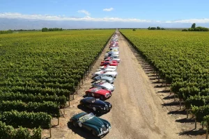 Rally de las Bodegas Autos