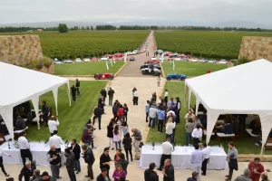 Rally de las Bodegas Evento