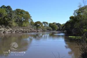 Reserva Natural Los Chaguares Reserva