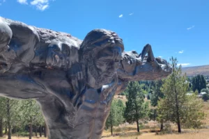 Vía Christi en Junín de los Andes Figura