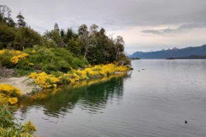 Villa la Angostura en letras gigantes Paisaje