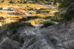 Barrancas de Empedrado Parque