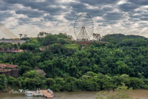 Hito Tres Fronteras Puerto Iguazú Bosque