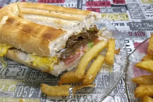 Jr Zapak Sandwich