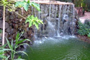 La Aripuca Fuente