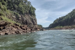 La Aripuca Río