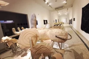 Museo Provincial de Bellas Artes Dr Juan R Vidal Museo