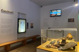 Museo del Chocolate Havanna Museo