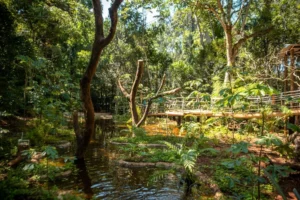 Parque Das Aves Arroyo