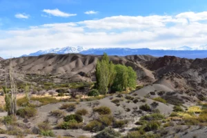 Parque Nacional el Leoncito Parque
