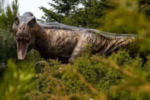 Parque Nahuelito Dinosaurio