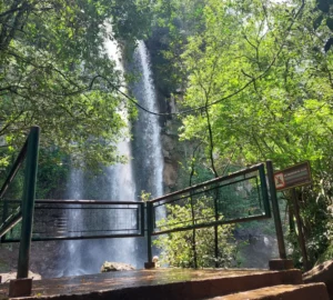Salto Arrechea Fachada