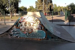 Skatepark San Juan Pista